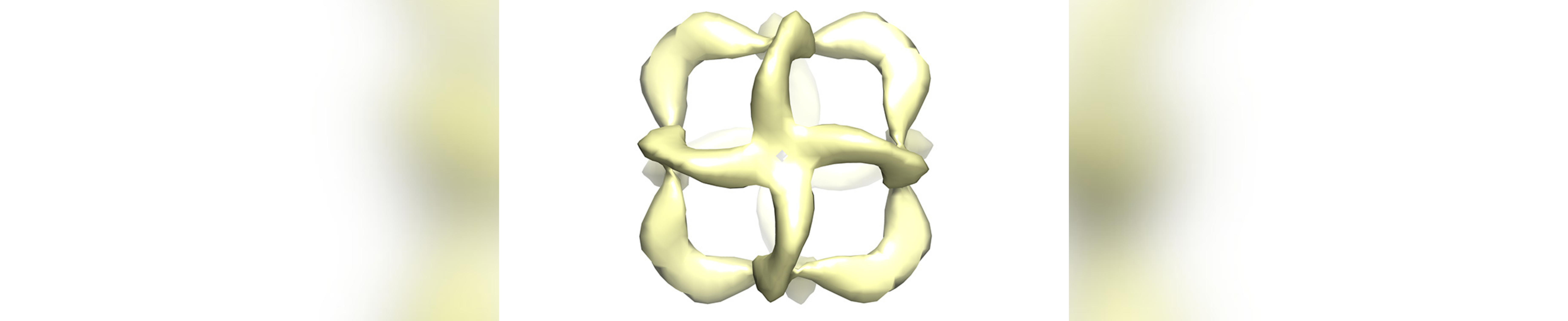 A 3D model from electron microscopy data of an octahedral nanostructure composed entirely of artificial XNA polymers