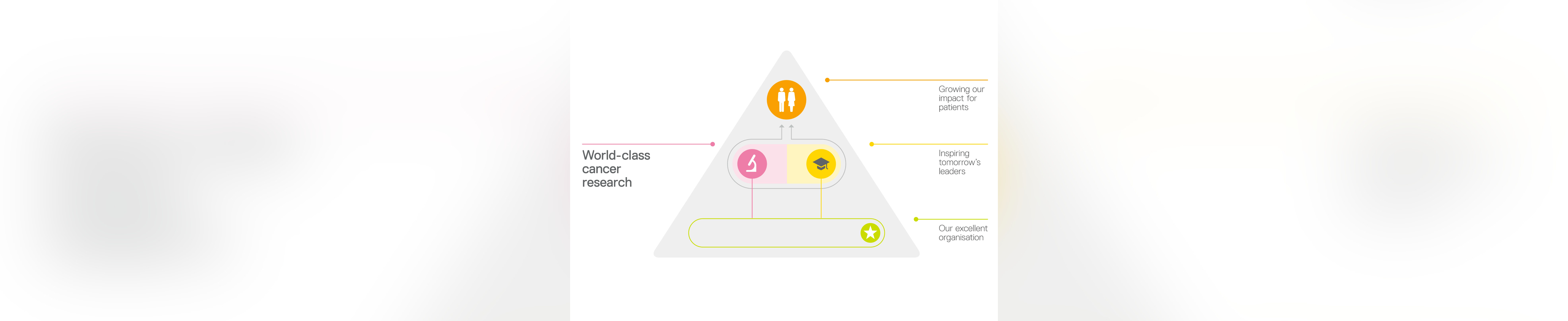 ICR strategy graphic