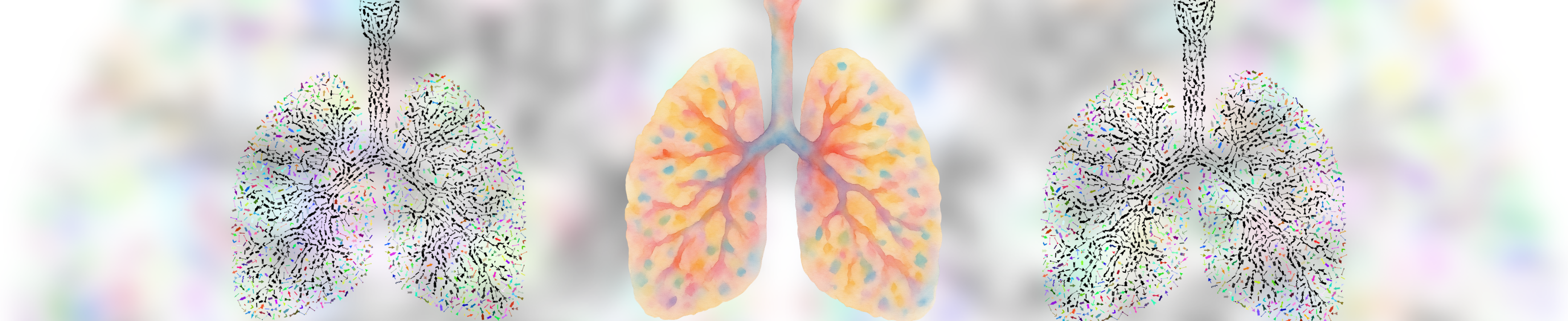 Three lung graphics