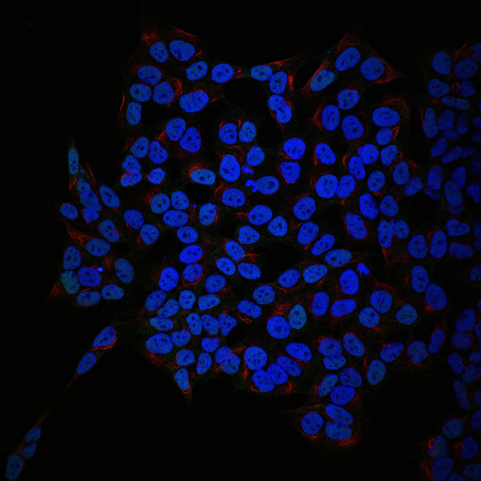 Zuzanna Urban 2015 Science Image Competition Consent Record