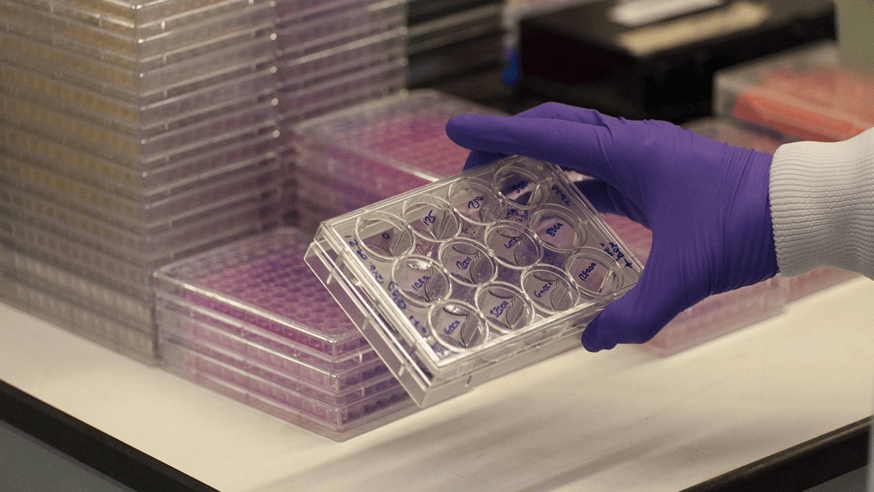 Scientist holding tray of samples