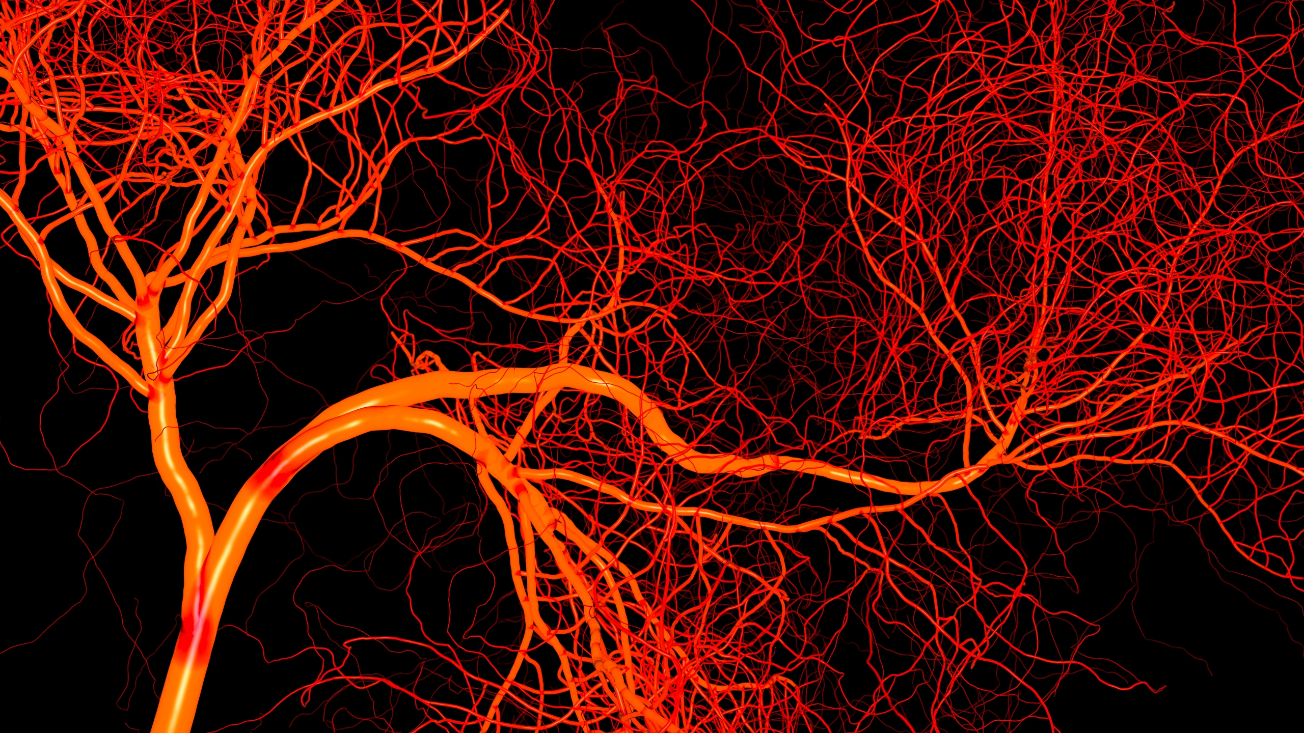 Blood vessels