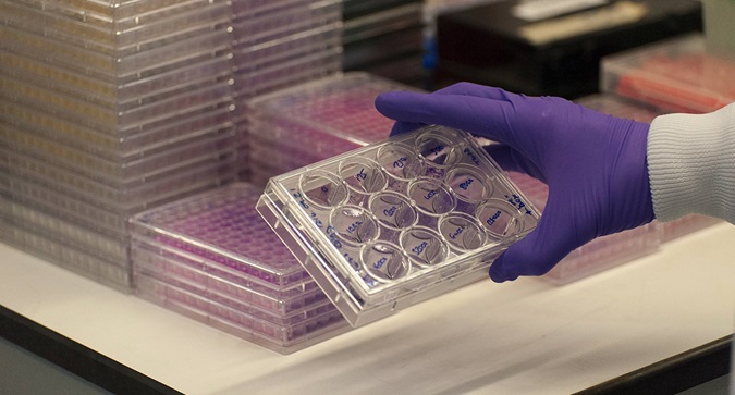 Scientist holding tray of samples