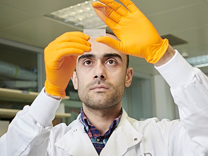 A scientist inspecting a slide (photo: John Angerson)
