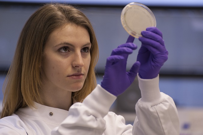 As PhD student analysing a petri dish