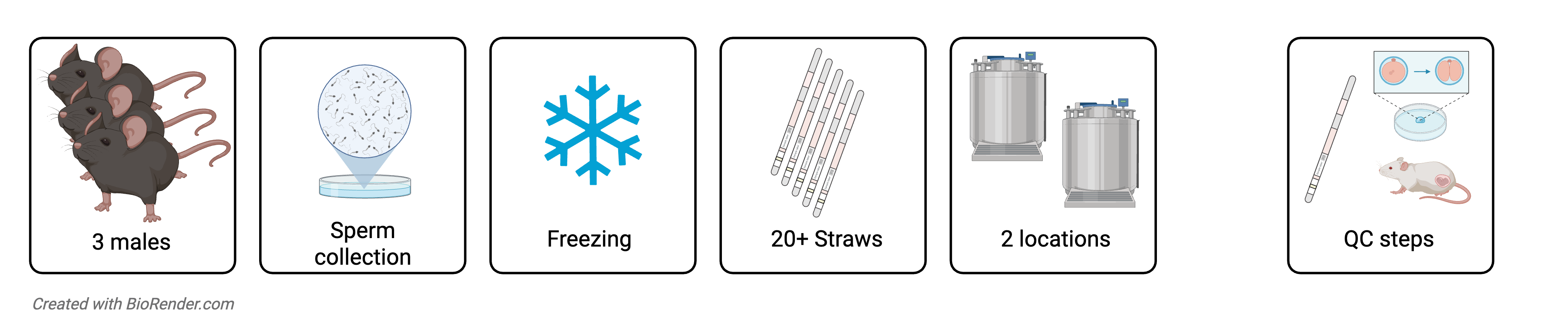 3 - Sperm Cryopreservation Diagram of Sperm Cryopreservation