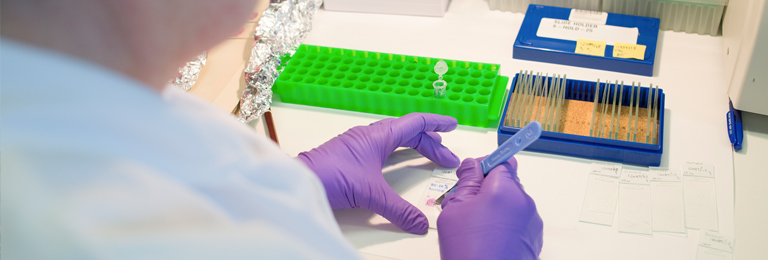Researcher preparing a microscope slide at their workbench