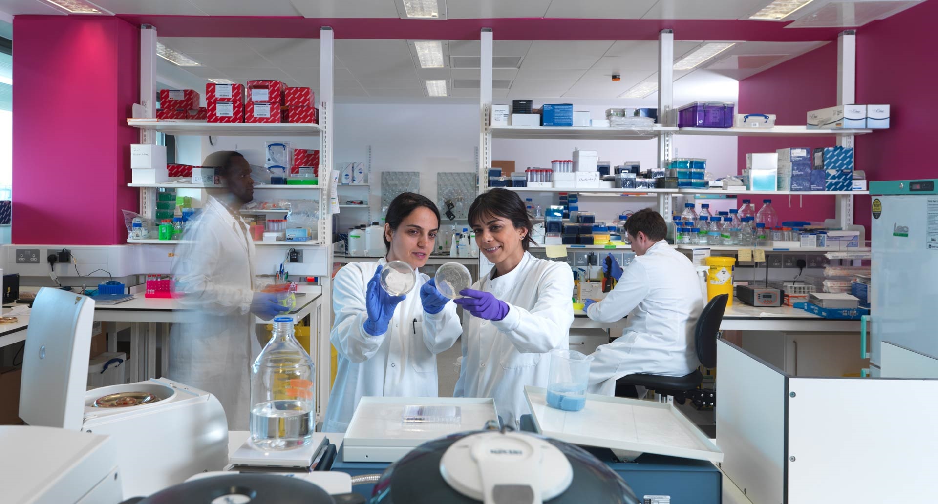 Cancer researchers in a lab examining petri dishes