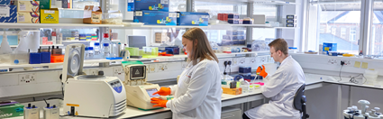 Two ICR scientists, one female, one male, working in the labs