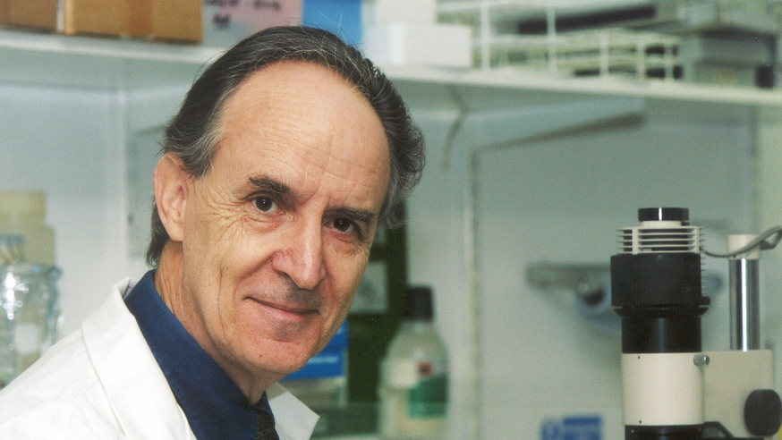 Professor Sir Mel Greaves in the lab