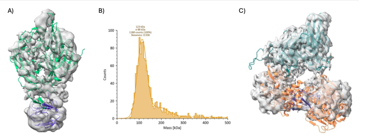 Figure showing the elucidation of the molecular basis for the chaperoning of DEAH-box RNA helicases by the oncoprotein and cochaperone NudCD1