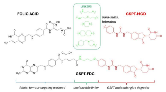 Figure showing the design of GSPT-FDC