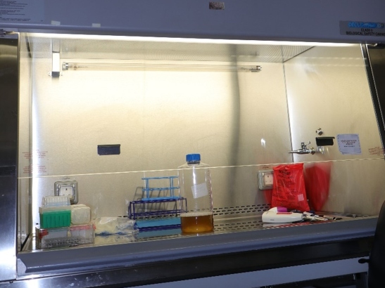 Baculovirus hood 547x410 MSC hoods, Nuaire
