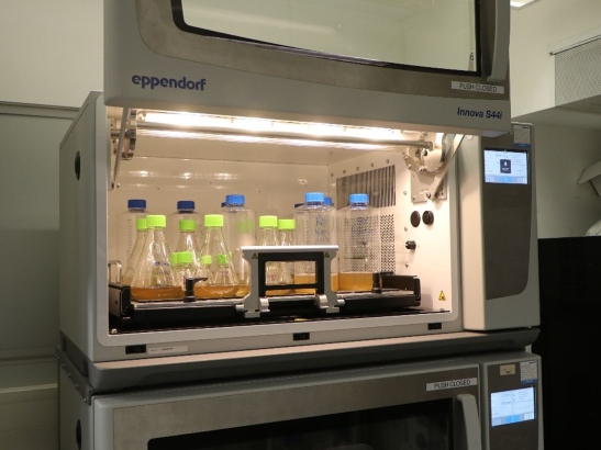 Baculovirus shaking incubator 547x410 Shaker incubators, Innova S44i Eppendorf
