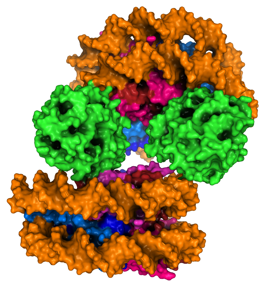 cGAS nucleosome structure