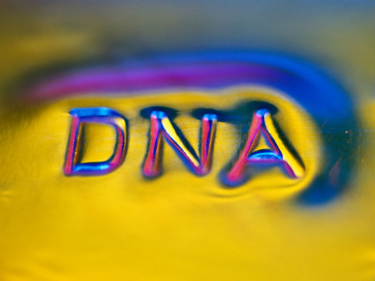 dna dna