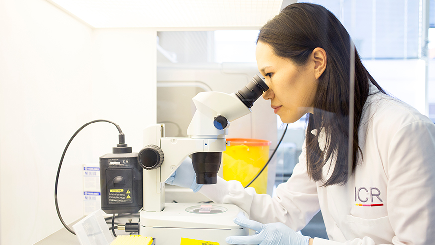 Dr Irene Chong in lab looking through microscope