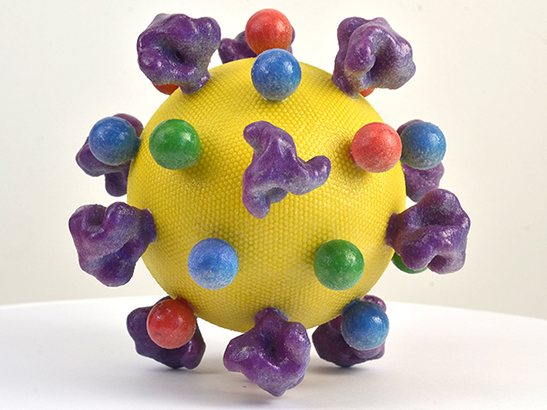 HIV model 547x410px HIV model 547x410px