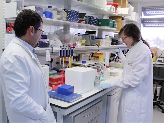 Louis Chesler in lab 547x410 Professor Louis Chesler in research lab