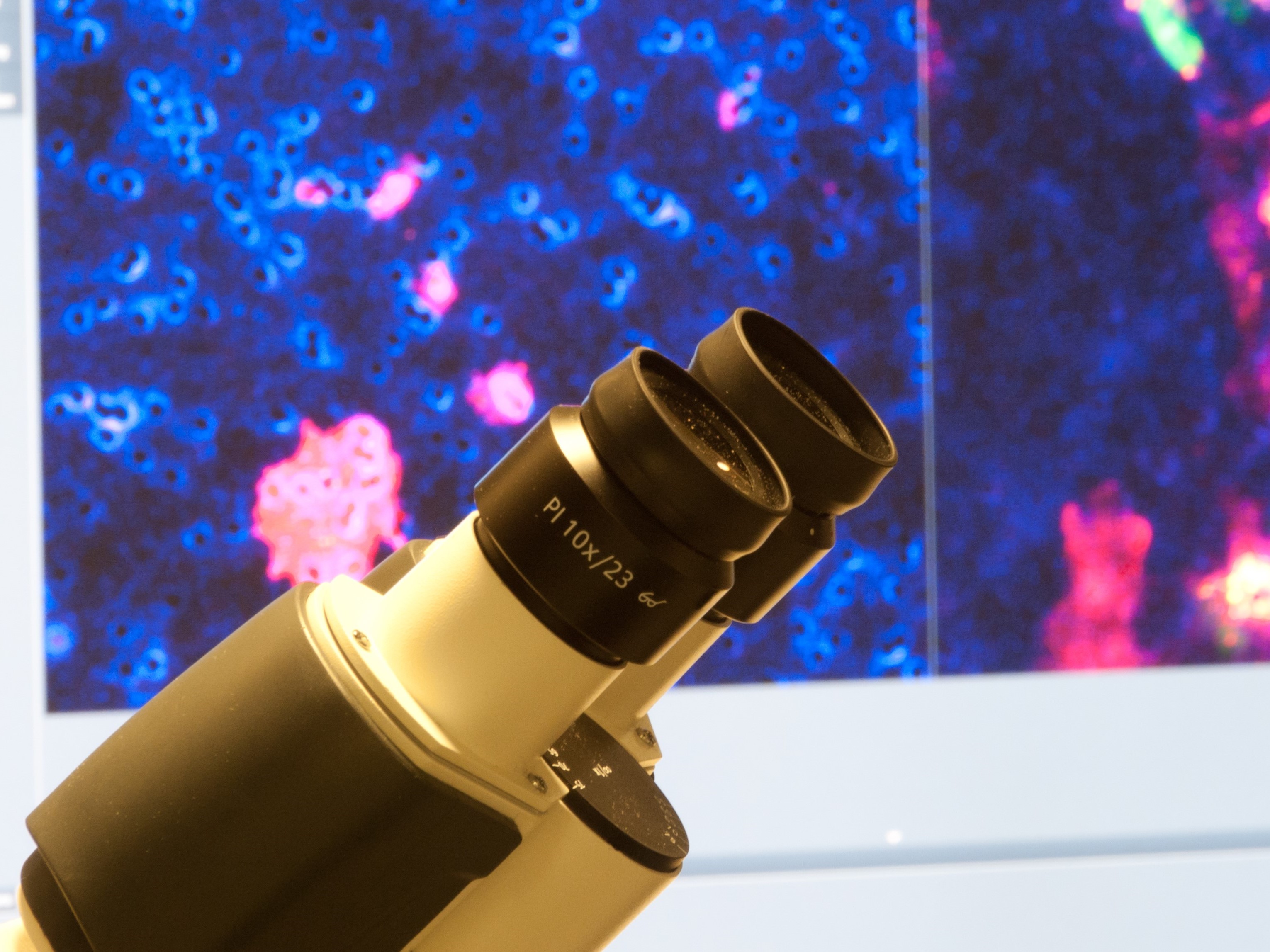 Microscope in lab 547x410