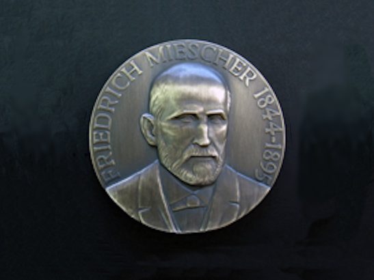 Novartis prize medal - 547x410 Novartis prize medal