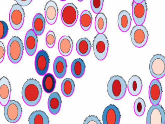 phenoplot phenoplot