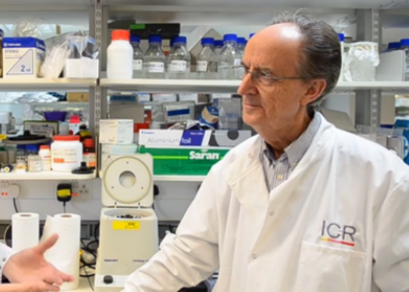 Professor Mel Greaves in lab v3 - 547x410 Professor Mel Greaves in lab