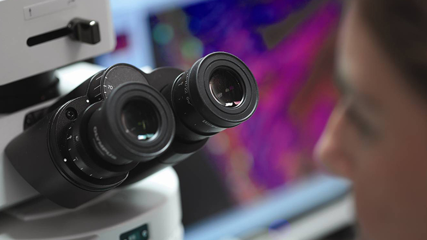 Researcher and a microscope (photo: Clare Turnbull)