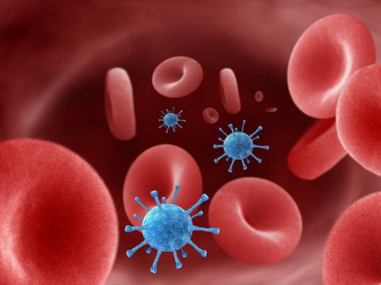 Viruses in the blood stream 547x410px Viruses in the blood stream 547x410px