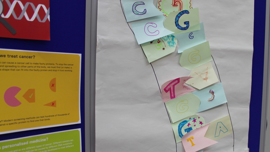 DNA constructed at the Royal Holloway Science Festival 2015