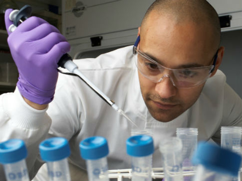 ICR282_485x364 ICR282_485x364