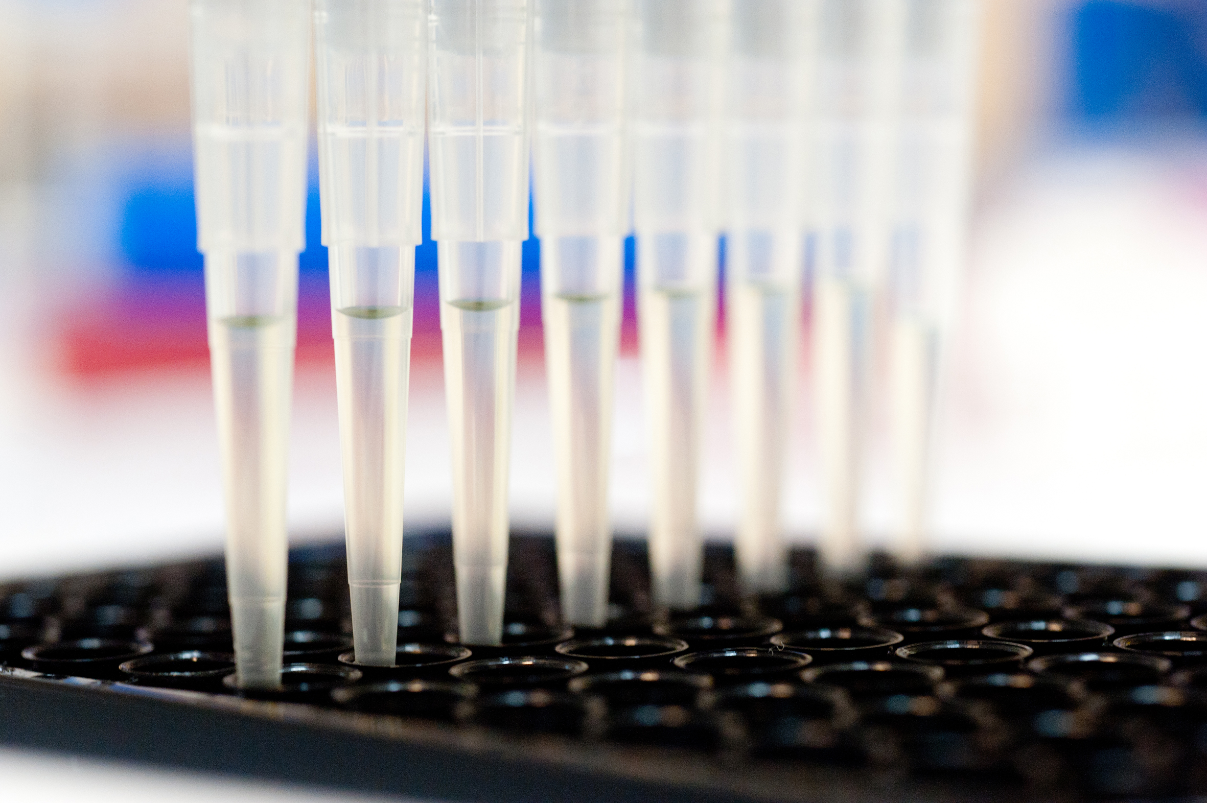 Assay Pippette tips containing liquid