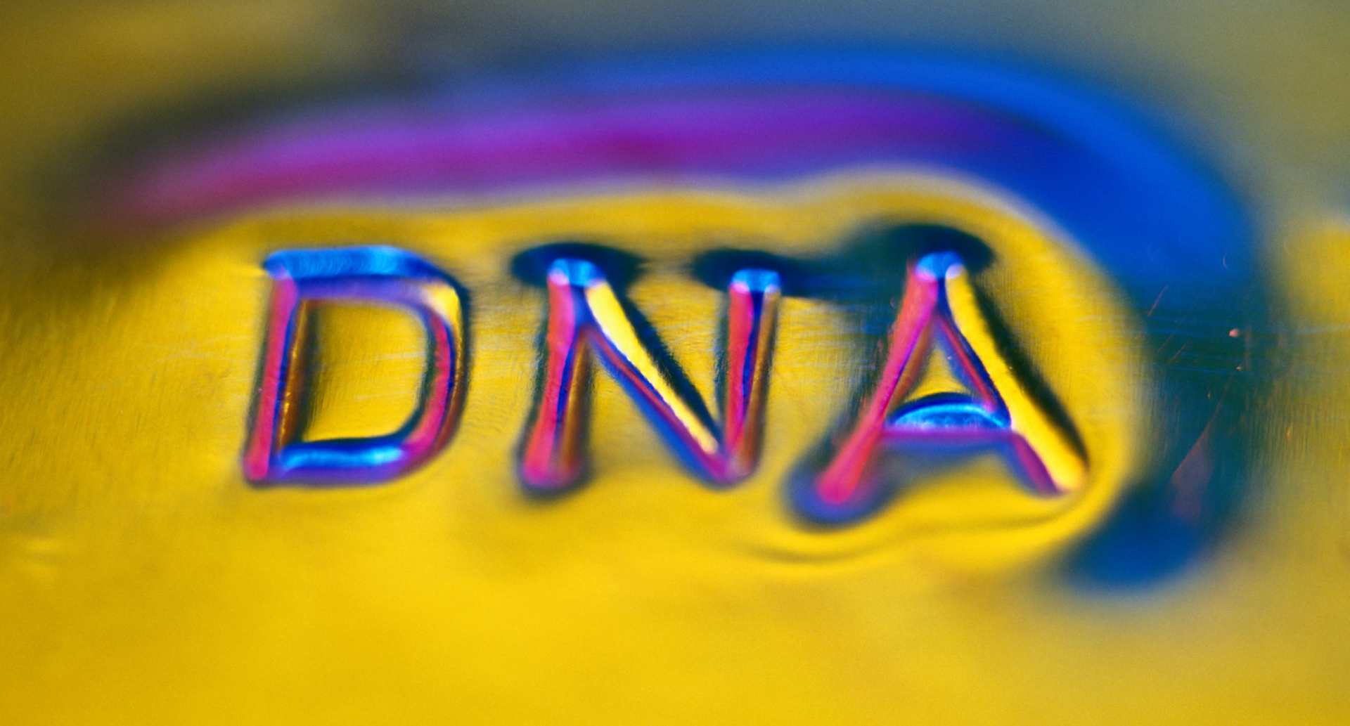 DNA