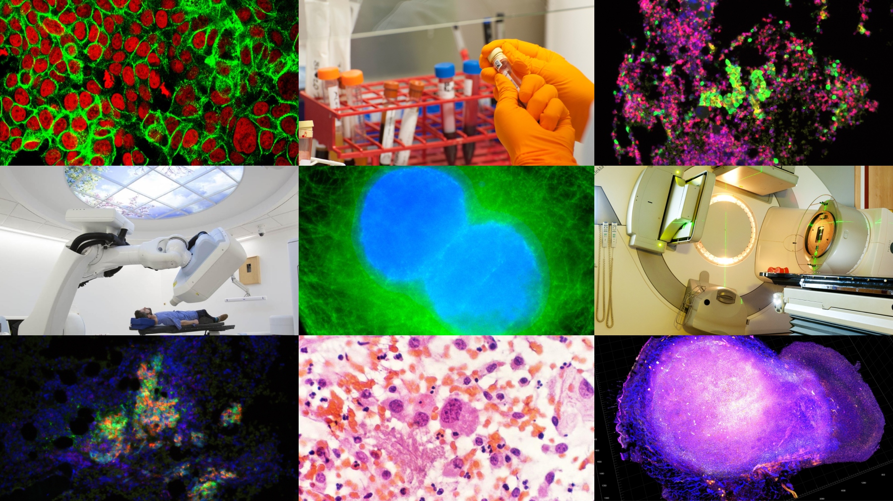 Collage of scientific images