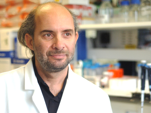 Dr Spiros Linardopoulos Dr Spiros Linardopoulos
