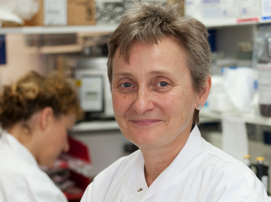 JanetShipley_JanChlebik_ICR_2015_540x404 Professor Janet Shipley in the lab