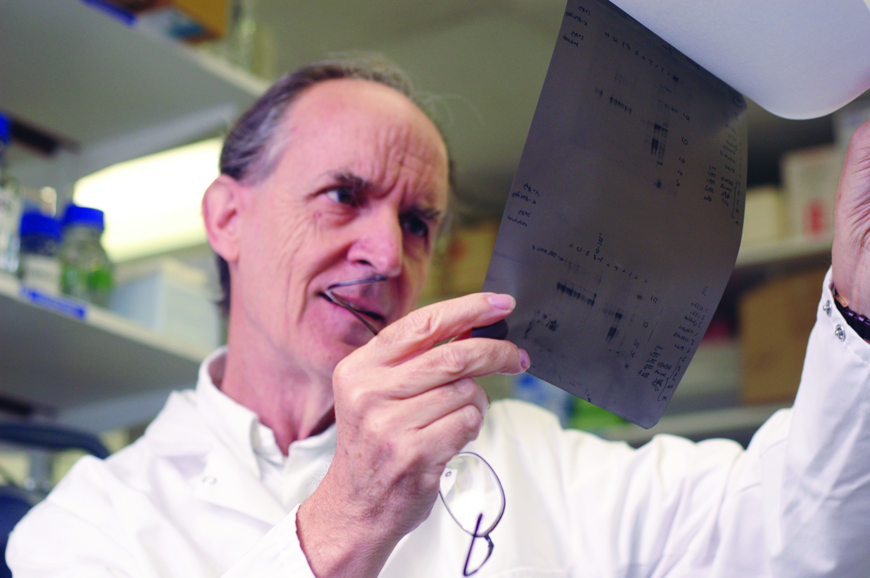 Professor Mel Greaves Professor Mel Greaves