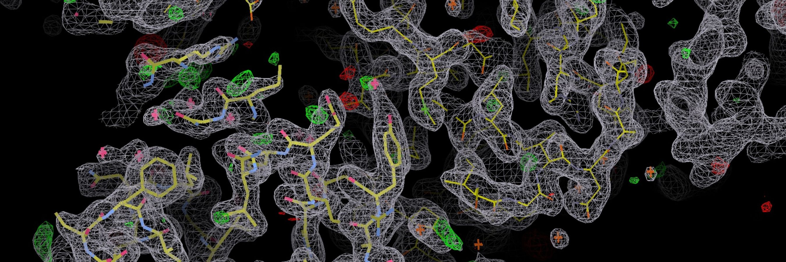 ICR_search_portraits_img4 a crystal structure of a protein used for drug design